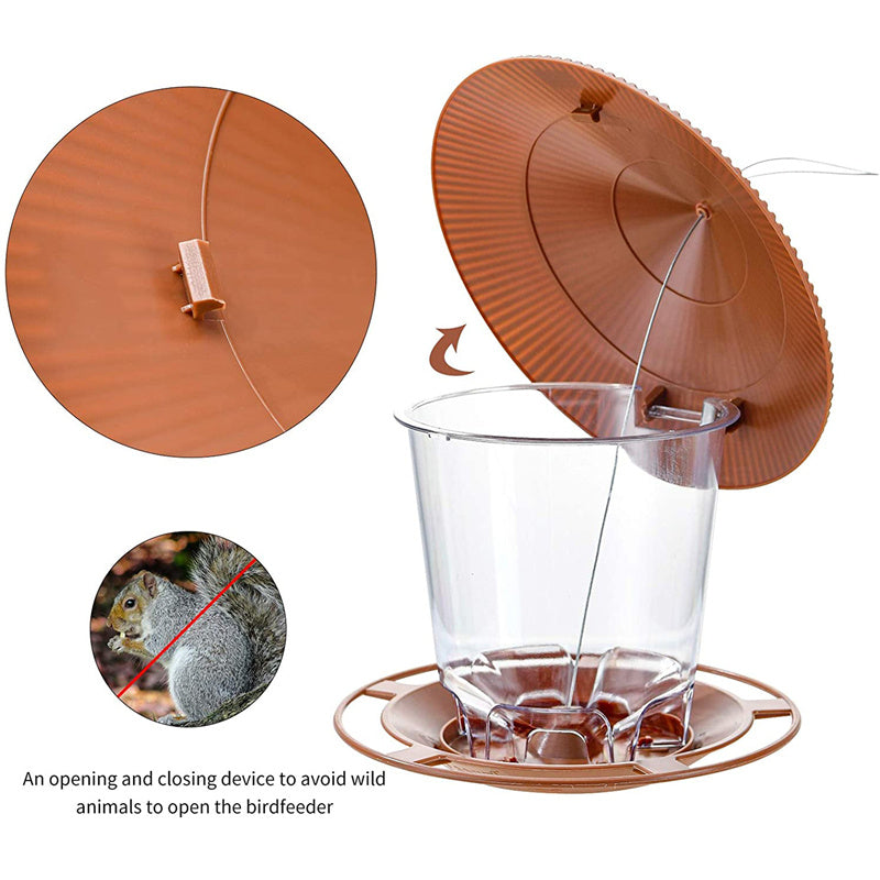 180 Degrees Clear View Window Bird Feeder