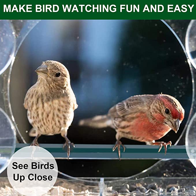 Clear Polycarbonate Window Bird Feeder