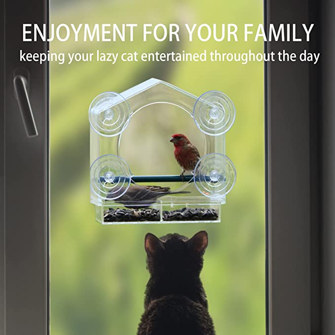 180 Degrees Clear View Window Bird Feeder