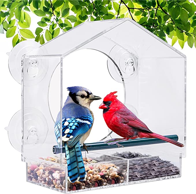 180 Degrees Clear View Window Bird Feeder