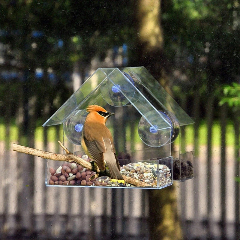 180 Degrees Clear View Window Bird Feeder
