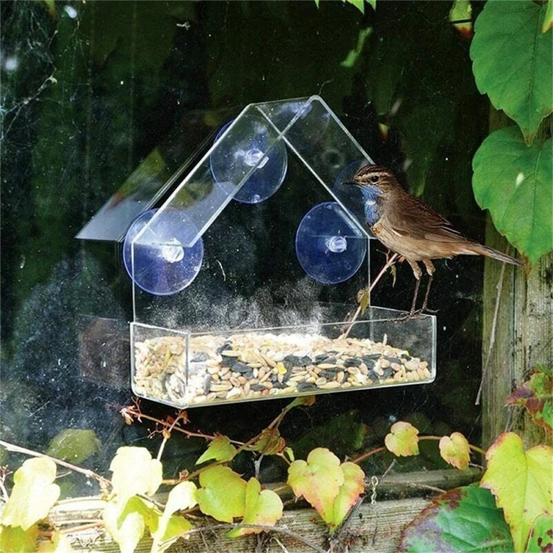 180 Degrees Clear View Window Bird Feeder