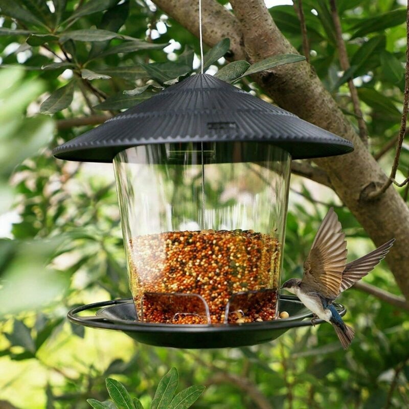 180 Degrees Clear View Window Bird Feeder