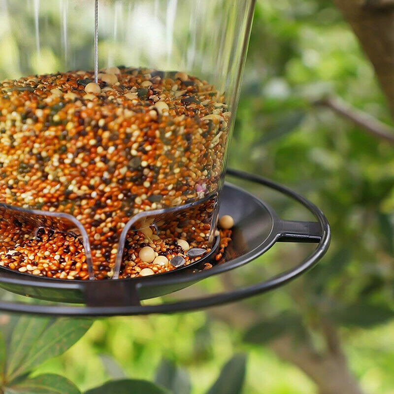 180 Degrees Clear View Window Bird Feeder