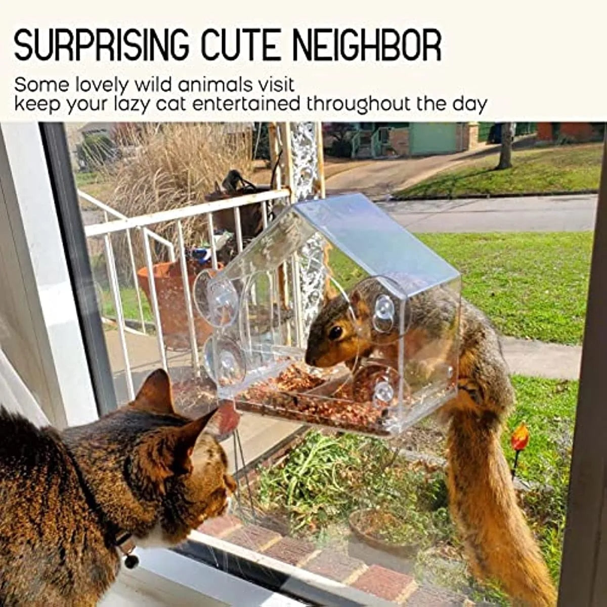 180 Degrees Clear View Window Bird Feeder