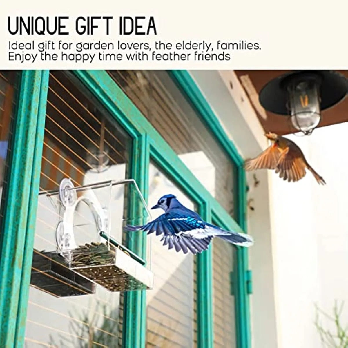 180 Degrees Clear View Window Bird Feeder
