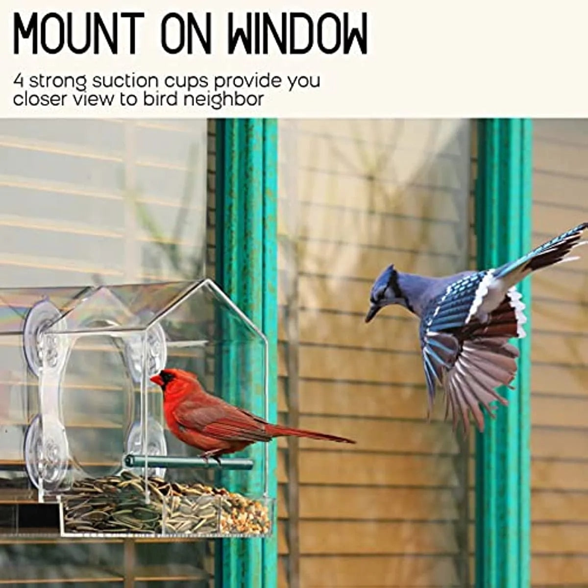180 Degrees Clear View Window Bird Feeder