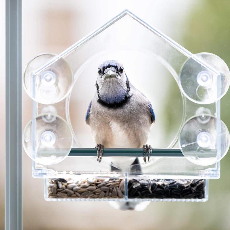 180 Degrees Clear View Window Bird Feeder