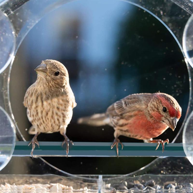 180 Degrees Clear View Window Bird Feeder