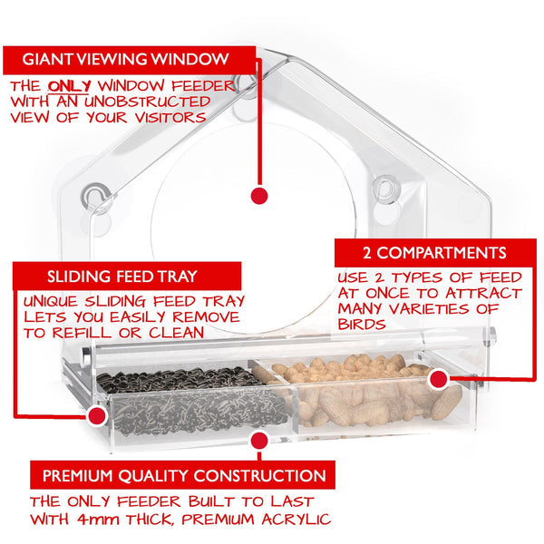 180 Degrees Clear View Window Bird Feeder