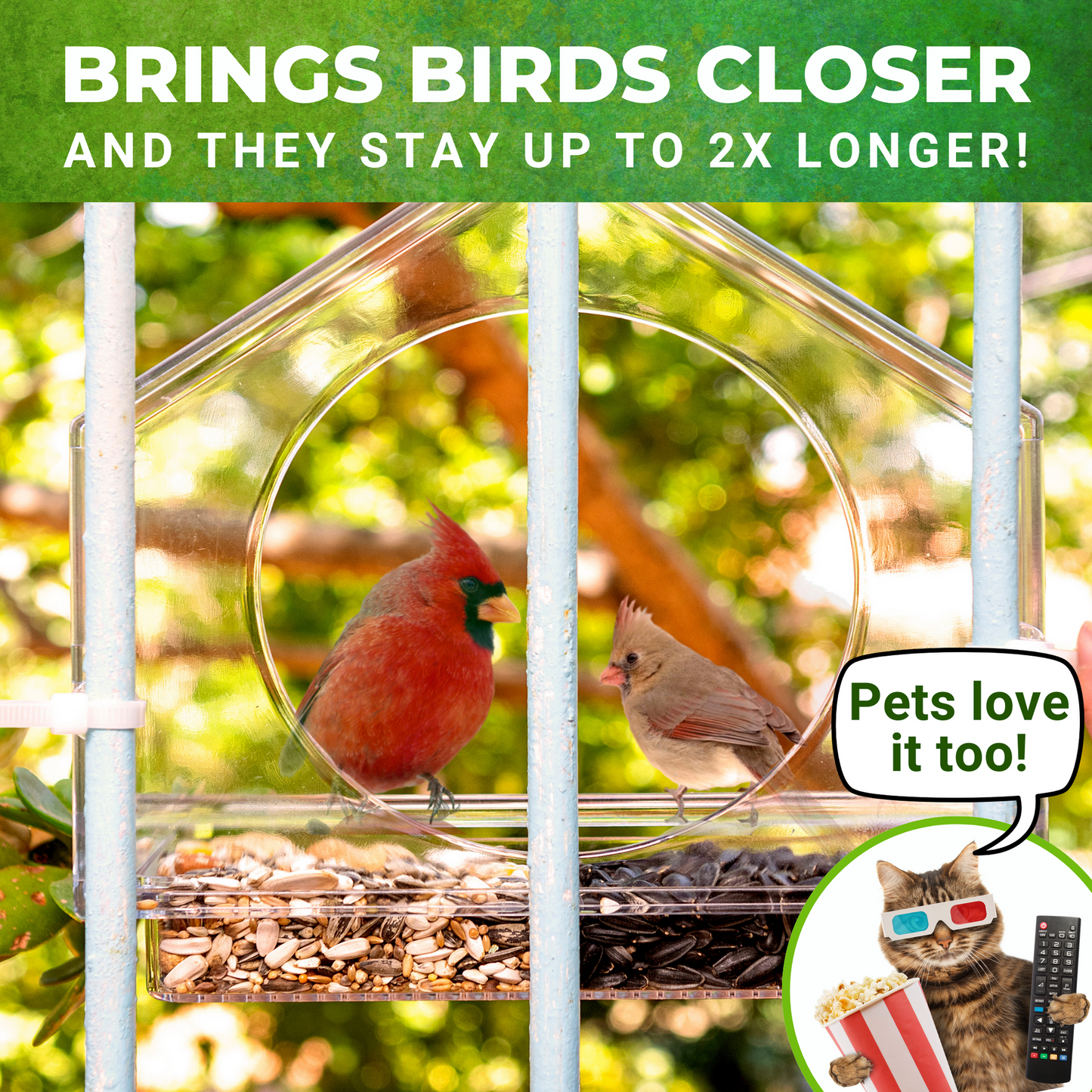 Clear Polycarbonate Window Bird Feeder