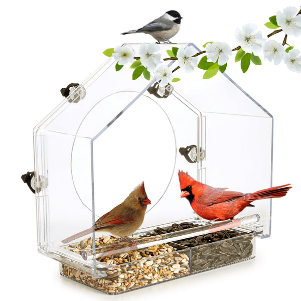 180 Degrees Clear View Window Bird Feeder
