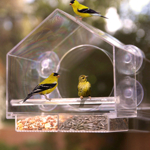 180 Degrees Clear View Window Bird Feeder