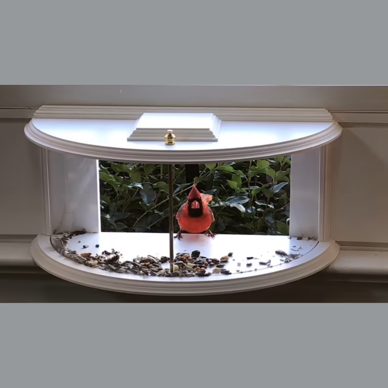 180 Degrees Clear View Window Bird Feeder