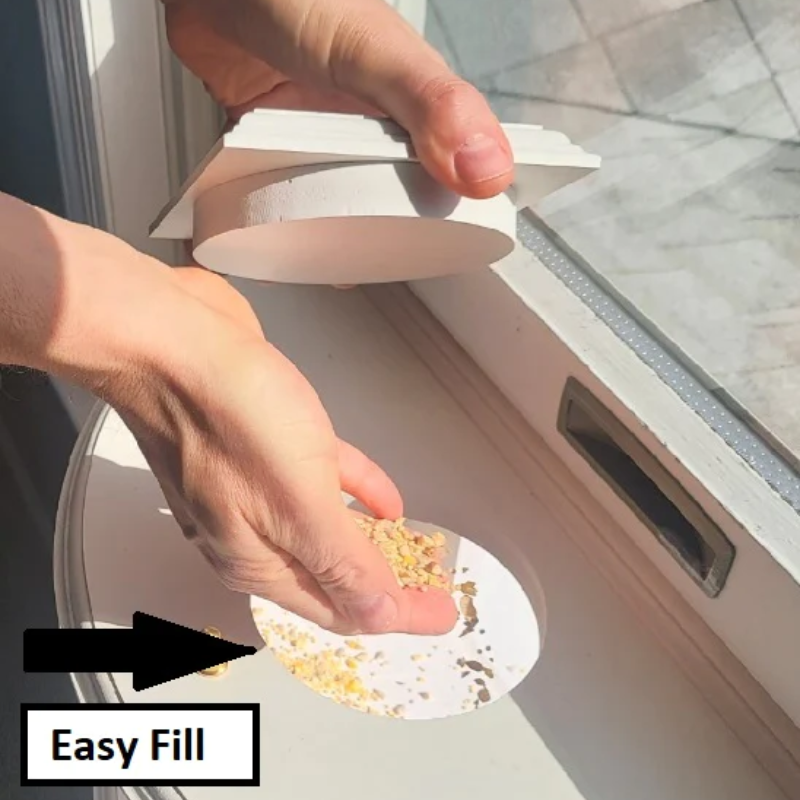 180 Degrees Clear View Window Bird Feeder