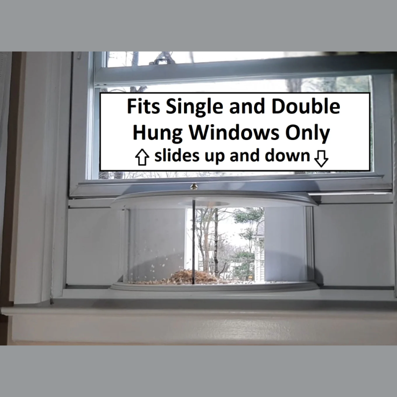 180 Degrees Clear View Window Bird Feeder