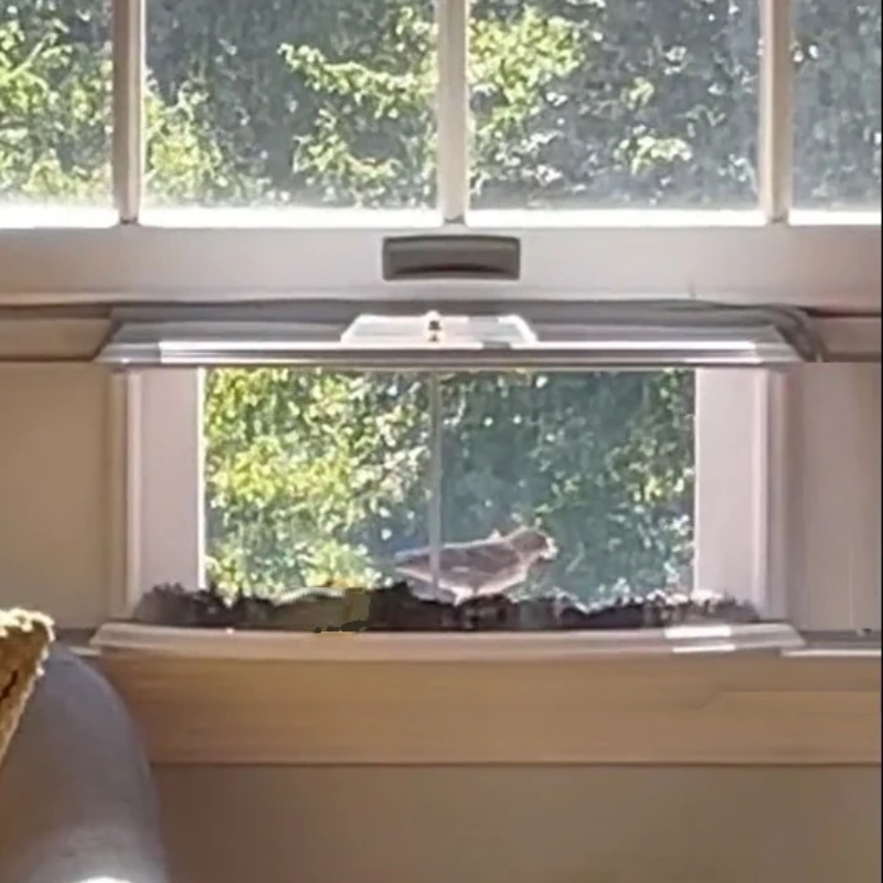 180 Degrees Clear View Window Bird Feeder