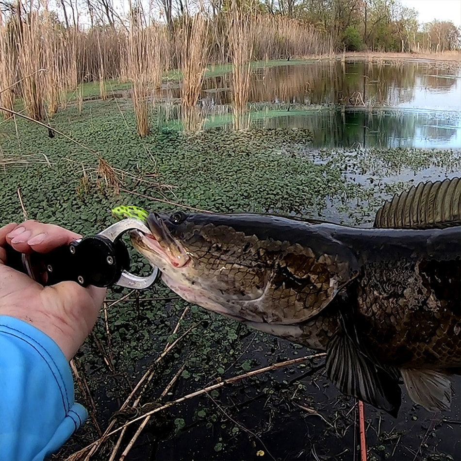 Double Propeller Frog Soft Bait